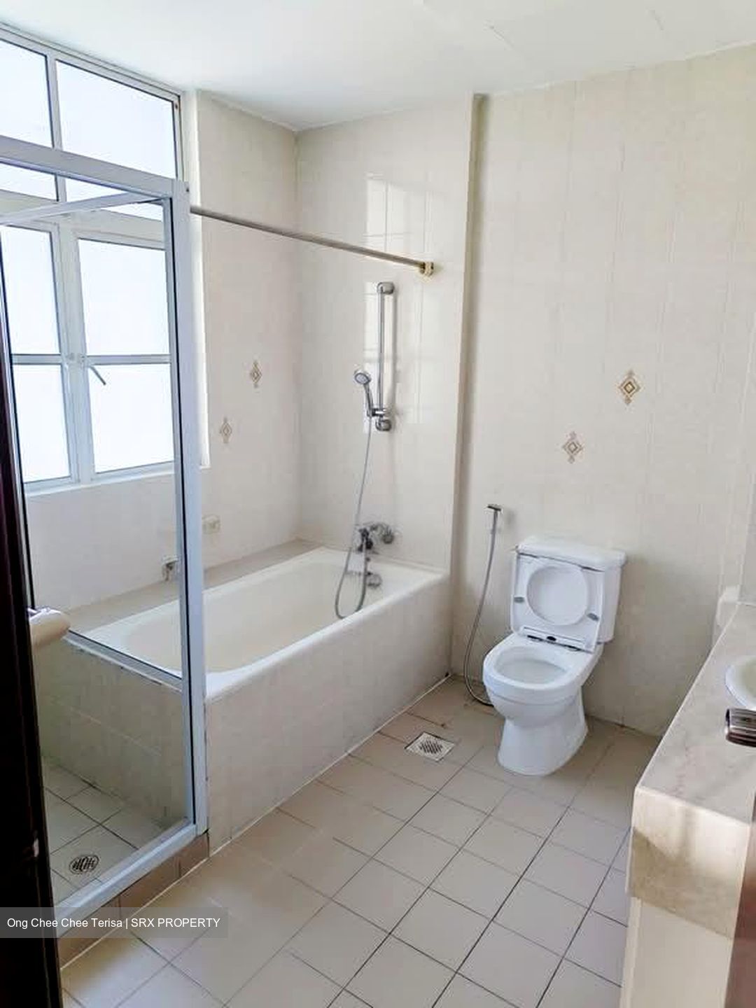 La Suisse (D11), Condominium #583420291